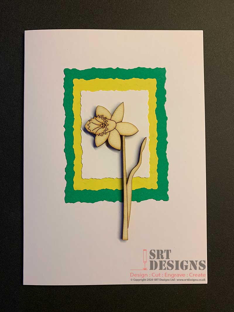 Daffodil card